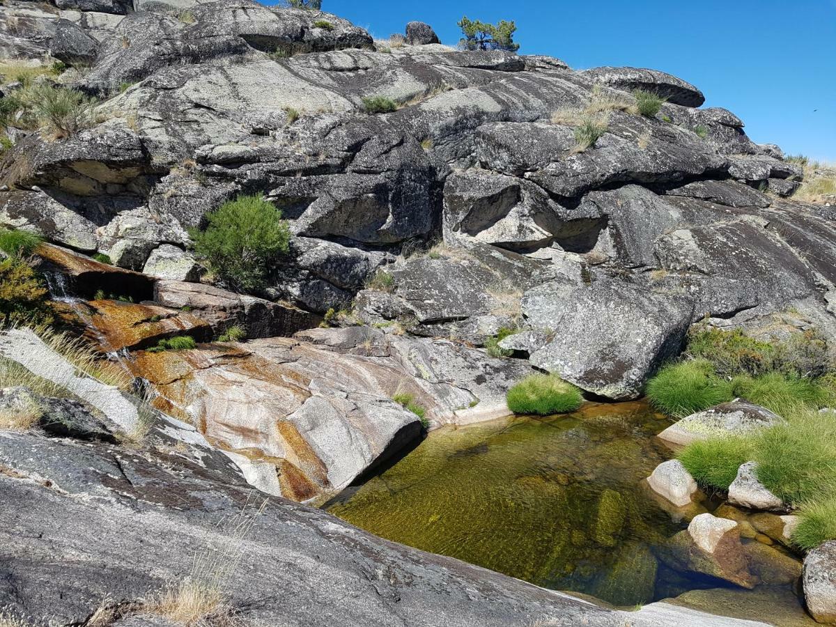 Casa Da Bela Vista - Serra Da Estrela Ковильян Экстерьер фото